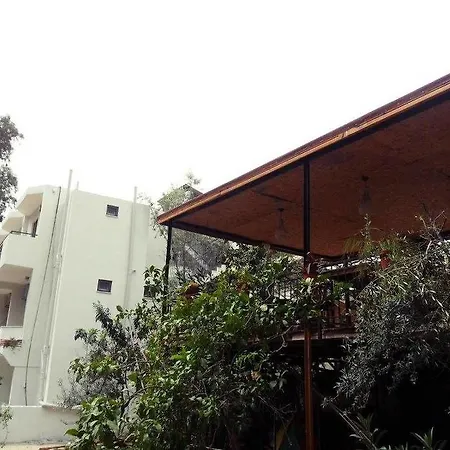 Nocleg ze śniadaniem Eucalyptus Patara