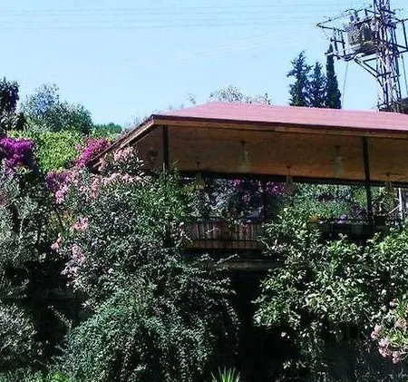 Nocleg ze śniadaniem Eucalyptus 2*