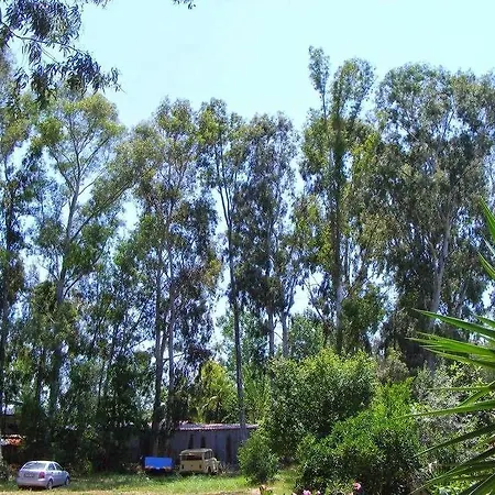 Nocleg ze śniadaniem Eucalyptus Patara